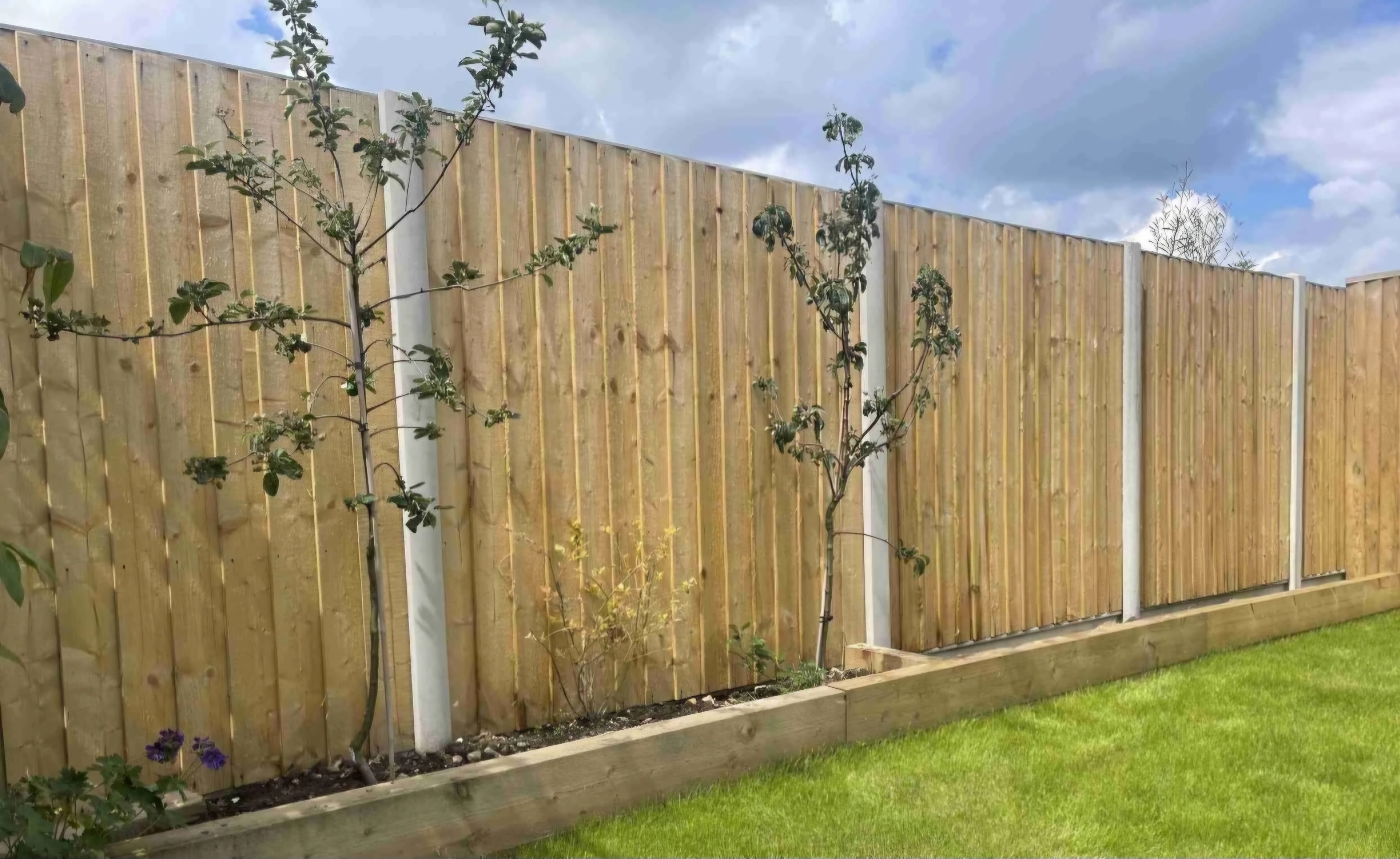 Fencing